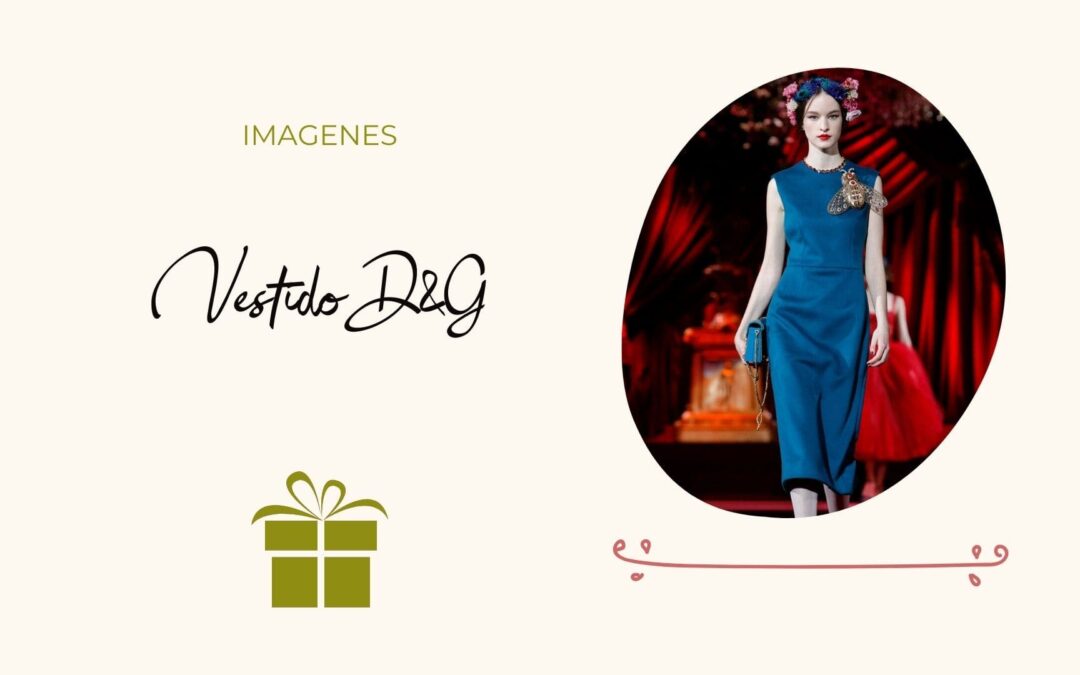 Imágenes Vestido D&G