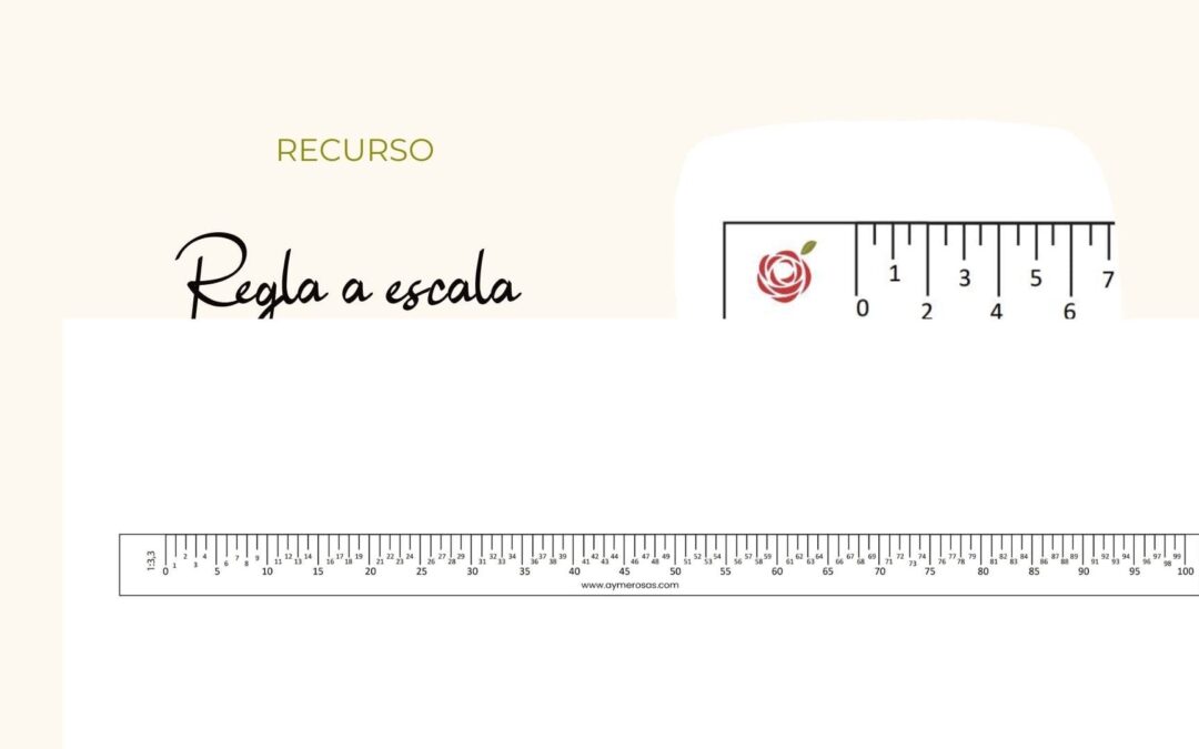 Regla Escala 1:2