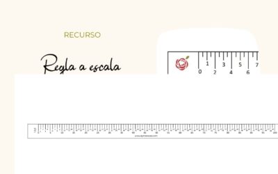 Regla Escala 1:2